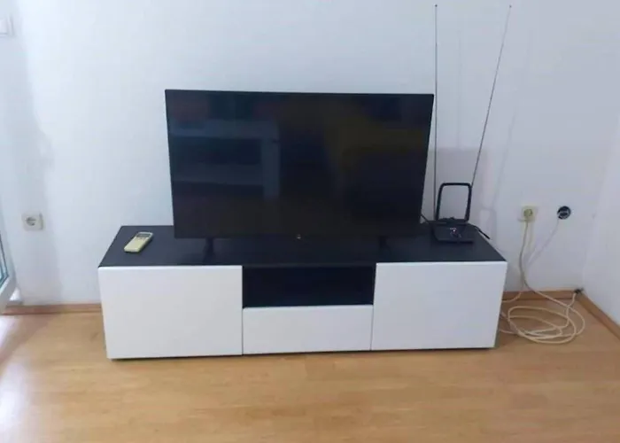 Charming Arta 特罗吉尔