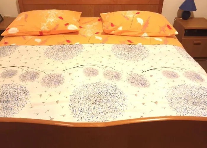 公寓 Charming Arta 特罗吉尔